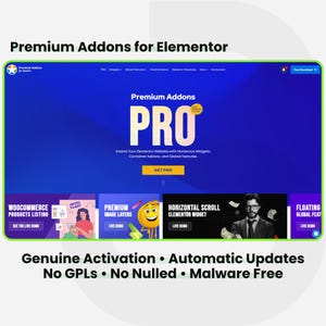 Premium Addons Pro for Elementor - 1 Site Lifetime. WordPress Plugin Installation Service with Licensed Automatic Updates.