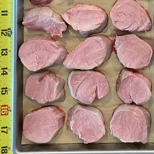 Freeze Dried Pork Tenderloin - Pasture Raised -  &#39;Yorkshire&#39; Heritage Breed  - 1 pound!!