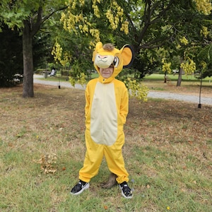 Lion costume for kids, Halloween Kids costume, Lion Costume, Boys costume, Girls Costume, Halloween costume Lion, Lion Onesie for kids