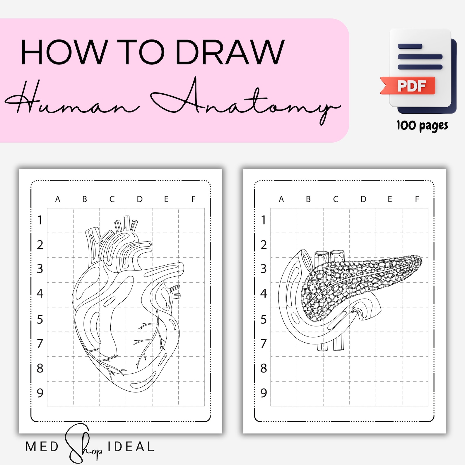 How to Draw Human Anatomy - Printable Coloring Pages - Instant Download ...