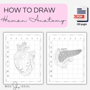How to Draw Human Anatomy - Printable Coloring Pages - Instant Download - PDF 100 pages