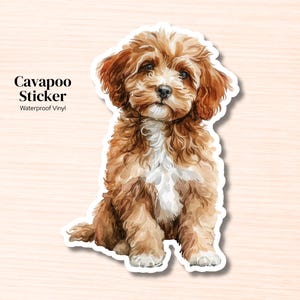 May include: A waterproof vinyl sticker featuring a watercolor illustration of a brown and white Cavapoo puppy sitting down. The text Cavapoo Sticker Waterproof Vinyl is printed to the left of the puppy in a black serif font.