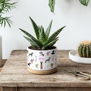 May include: A white ceramic cylindrical planter with a bamboo saucer base, featuring a repeating pattern of various dog breeds and potted plants. A green succulent with white speckled leaves is planted inside the container.