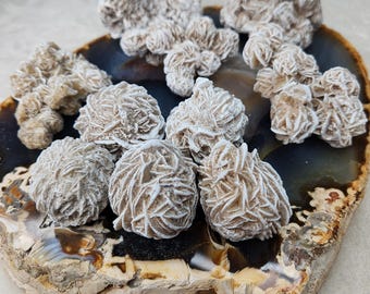 May include: A collection of desert rose selenite crystals, showcasing a cluster of beige and white formations. The crystals are arranged on a polished agate slice with brown, black, and white patterns. The natural formations have a unique, textured appearance.