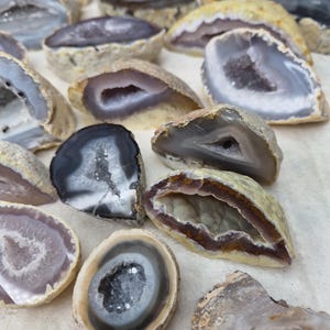 May include: A collection of sliced geodes, showcasing a variety of colors and crystal formations. The geodes have a rough, textured exterior with polished interiors revealing shades of gray, purple, and white. Some geodes have sparkling crystal centers.