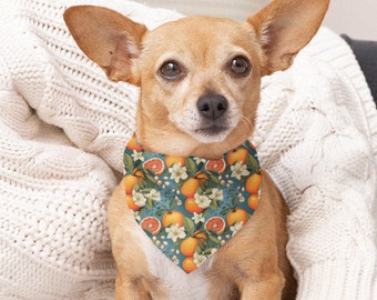 Clementine Dog Bandana, Girl Dog Bandana, Clementine Cat Collar, Clementine Designs, Exotic Fruit Dog Collar, Boho Wildflower Pet Clothing