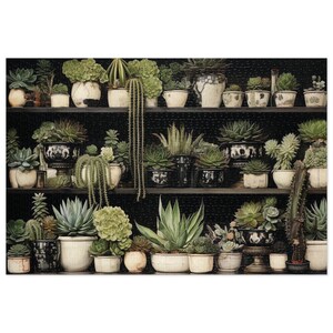 Jigsaw Puzzle | Vintage Potted Succulent Shelves | 1000 Piece