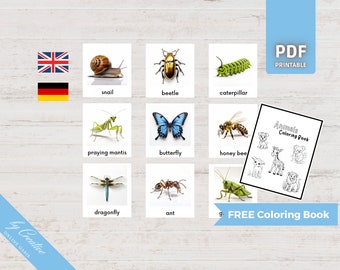 INSECTS • 18 Montessori Cards • Flash Cards German English • Nomenclature PDF Printable Preschool Educational Homeschooling Learning Deutsch