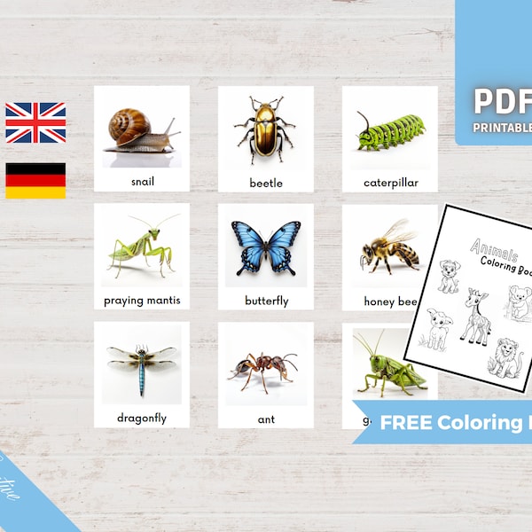 INSECTS • 18 Montessori Cards • Flash Cards German English • Nomenclature PDF Printable Preschool Educational Homeschooling Learning Deutsch