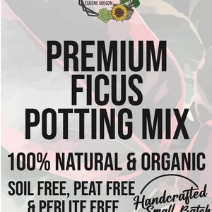 FICUS Premium Soil Less Potting Mix Oregon Licensed Nursery - - Etsy