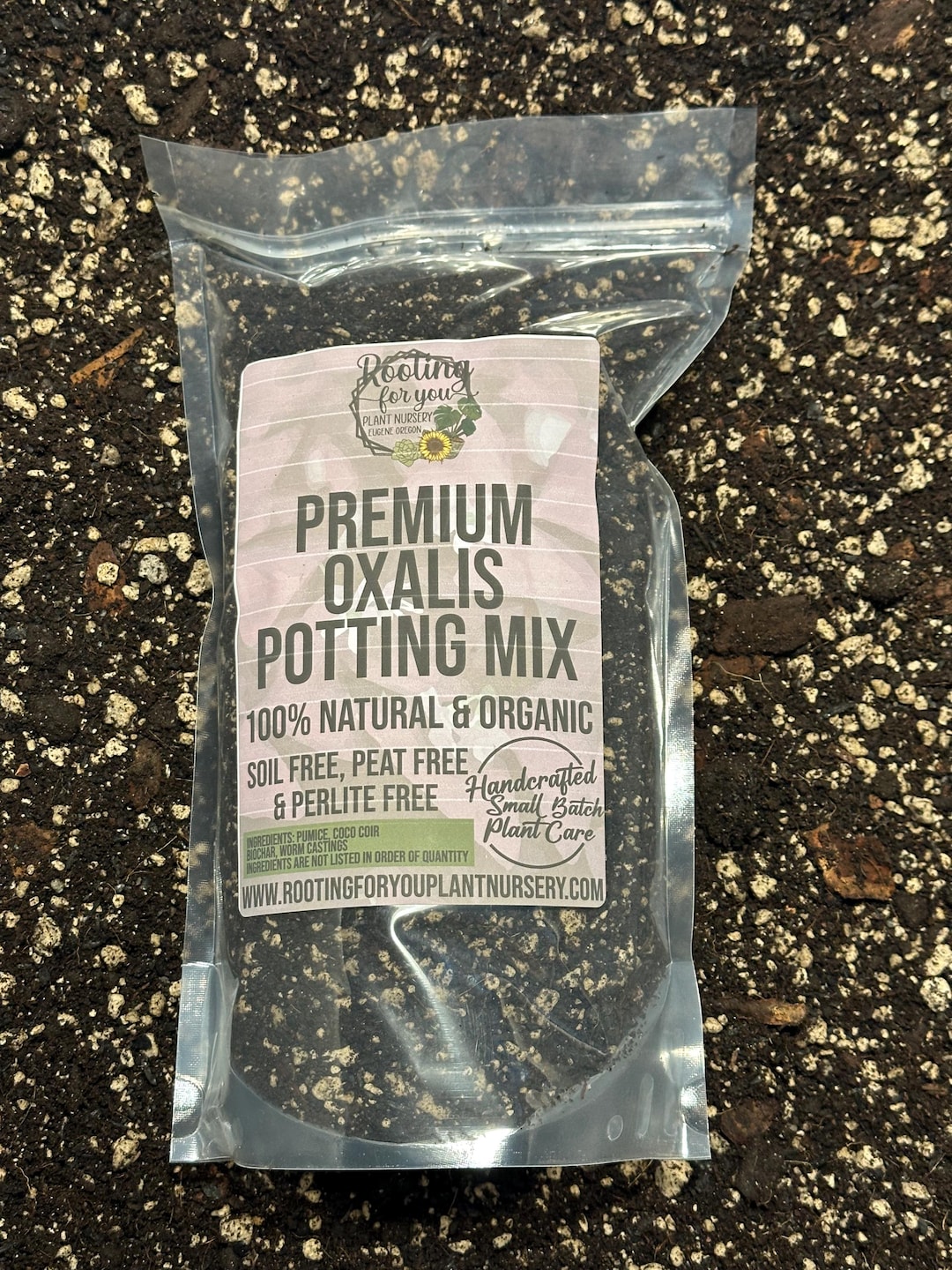 Oxalis Premium Soil Less Potting Mix Oregon Licensed Nursery - Etsy