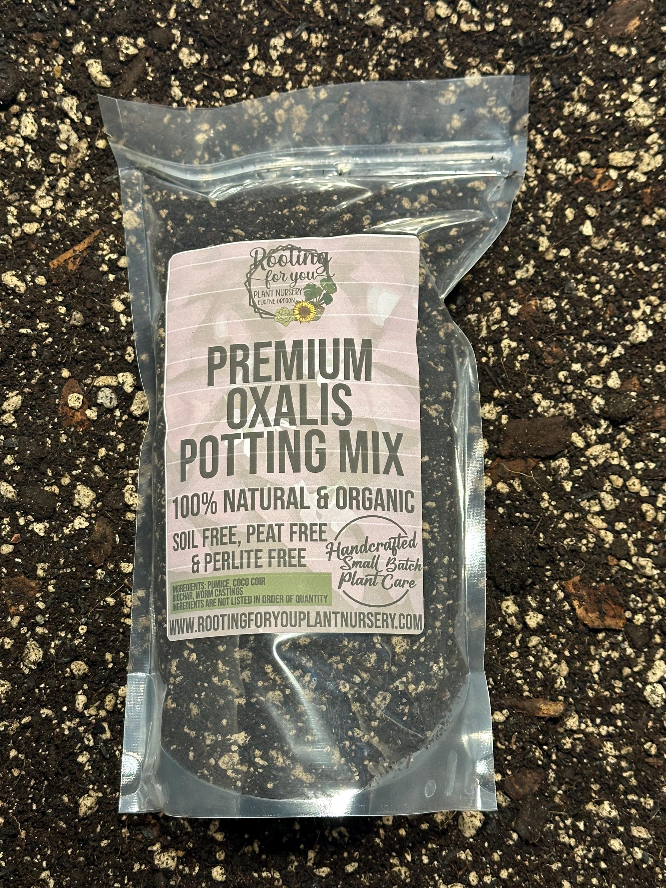 Oxalis Premium Soil Less Potting Mix Oregon Licensed Nursery - Etsy