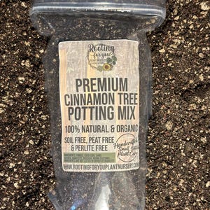 CINNAMON TREE Premium Soil Less Potting Mix Oregon Licensed Nursery - rootingforyouplantnursery.com