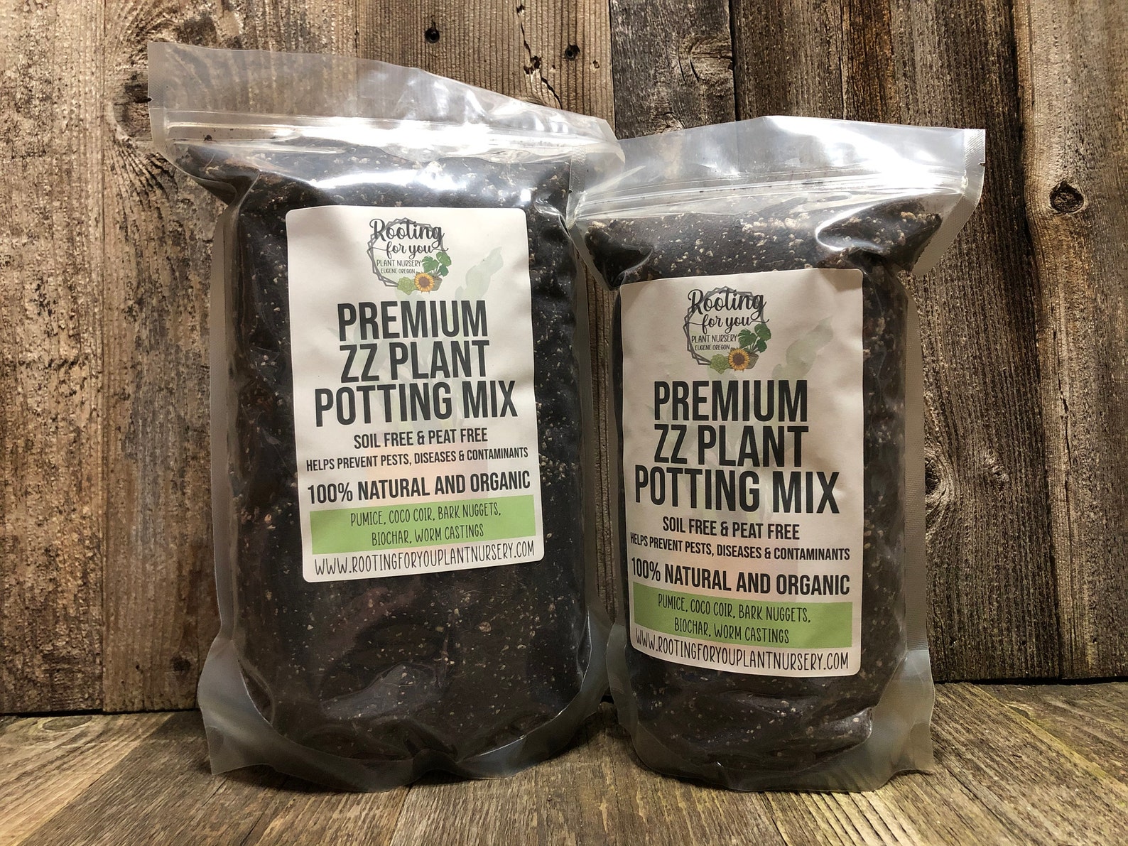 ZZ PLANT Premium Soil Less Potting Mix Oregon Licensed Nursery - - Etsy