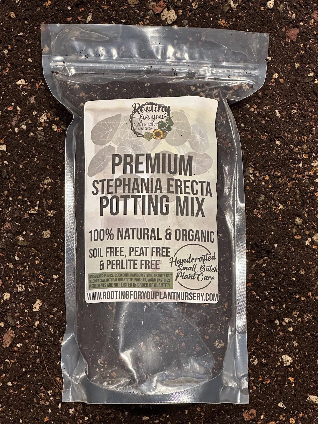 STEPHANIA ERECTA Premium Soil Less Potting Mix Oregon Licensed Nursery ...