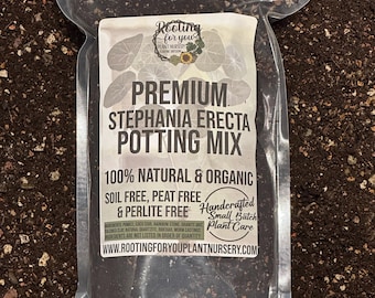 May include: A clear plastic bag filled with dark brown potting mix. The bag has a white label with the text "Rooting for you Plant Nursery" and "Premium Stephania Erecta Potting Mix". The label also states "100% Natural & Organic", "Soil Free, Peat Free & Perlite Free", "Handcrafted Small Batch Plant Care", and "www.rootingforyouplantnursery.com".