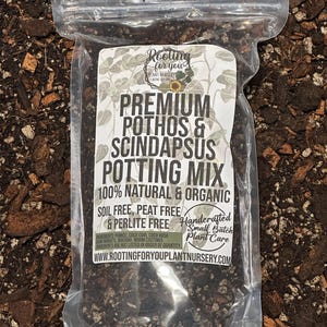May include: A clear plastic bag containing potting mix for Pothos and Scindapsus plants. The label reads "Premium Pothos & Scindapsus Potting Mix" and lists ingredients like pumice, coco coir, and worm castings. The mix is 100% natural and organic.