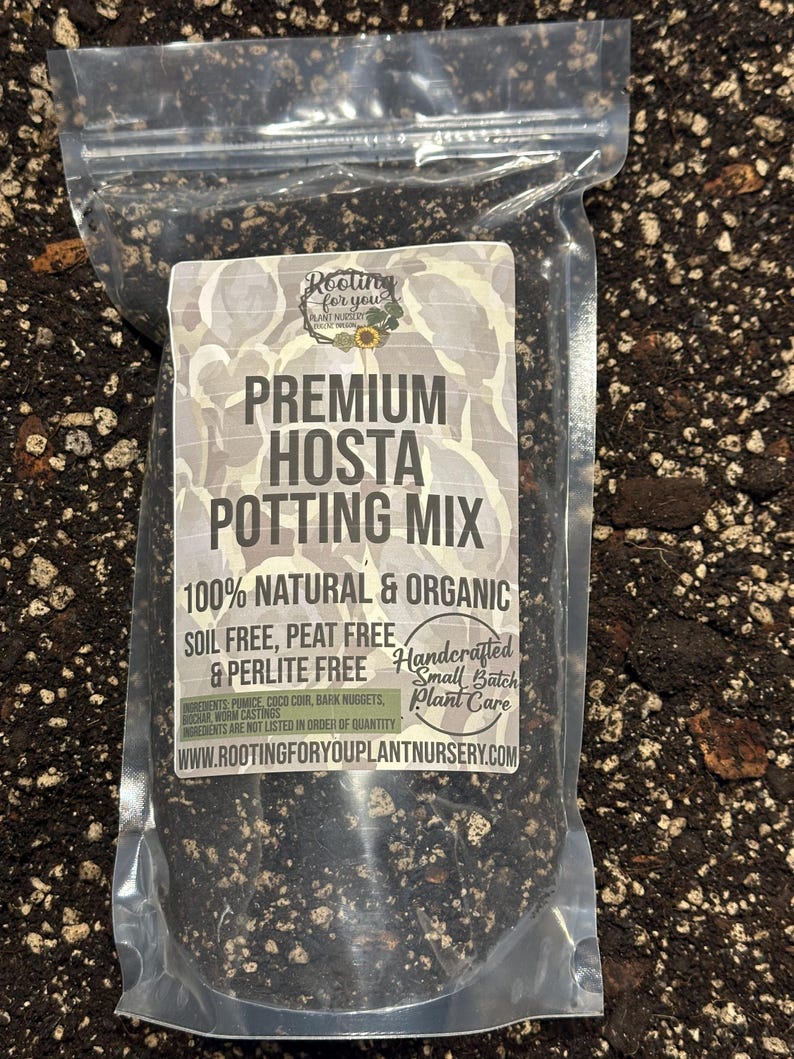 HOSTA Premium Soil Less Potting Mix Oregon Licensed Nursery - - Etsy