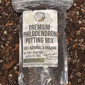 PHILODENDRON Premium Soil Less Potting Mix Oregon Licensed Nursery - rootingforyouplantnursery.com