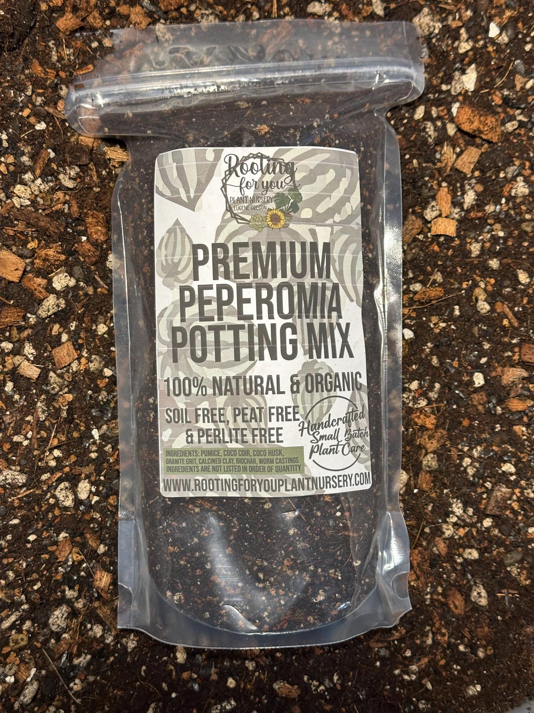 PEPEROMIA Premium Soil Less Potting Mix Oregon Licensed Nursery - - Etsy