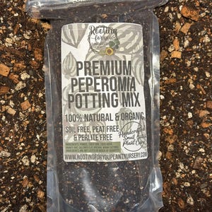 May include: A clear plastic bag filled with a dark brown potting mix for peperomia plants. The bag has a white label with the text "Rooting for you Plant Nursery" and "Premium Peperomia Potting Mix". The label also states that the mix is 100% natural and organic, soil free, peat free, and perlite free. It is handcrafted in small batches.