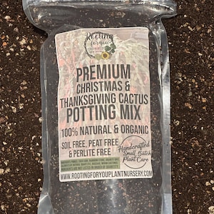 May include: A clear plastic bag filled with a dark brown potting mix for Christmas and Thanksgiving cactus. The bag has a white label with the text "Rooting for you Plant Nursery", "Premium Christmas & Thanksgiving Cactus Potting Mix", "100% Natural & Organic", "Soil Free, Peat Free & Perlite Free", "Handcrafted Small Batch Plant Care", and "www.rootingforyouplantnursery.com".