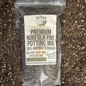 May include: A clear plastic bag filled with a brown potting mix. The bag has a white label with the text "Rooting for you Plant Nursery" and "Premium Norfolk Pine Potting Mix". The label also states that the mix is 100% natural and organic, soil free, peat free, and perlite free. The label also states "Handcrafted Small Batch Plant Care" and "www.rootingforyouplantnursery.com".