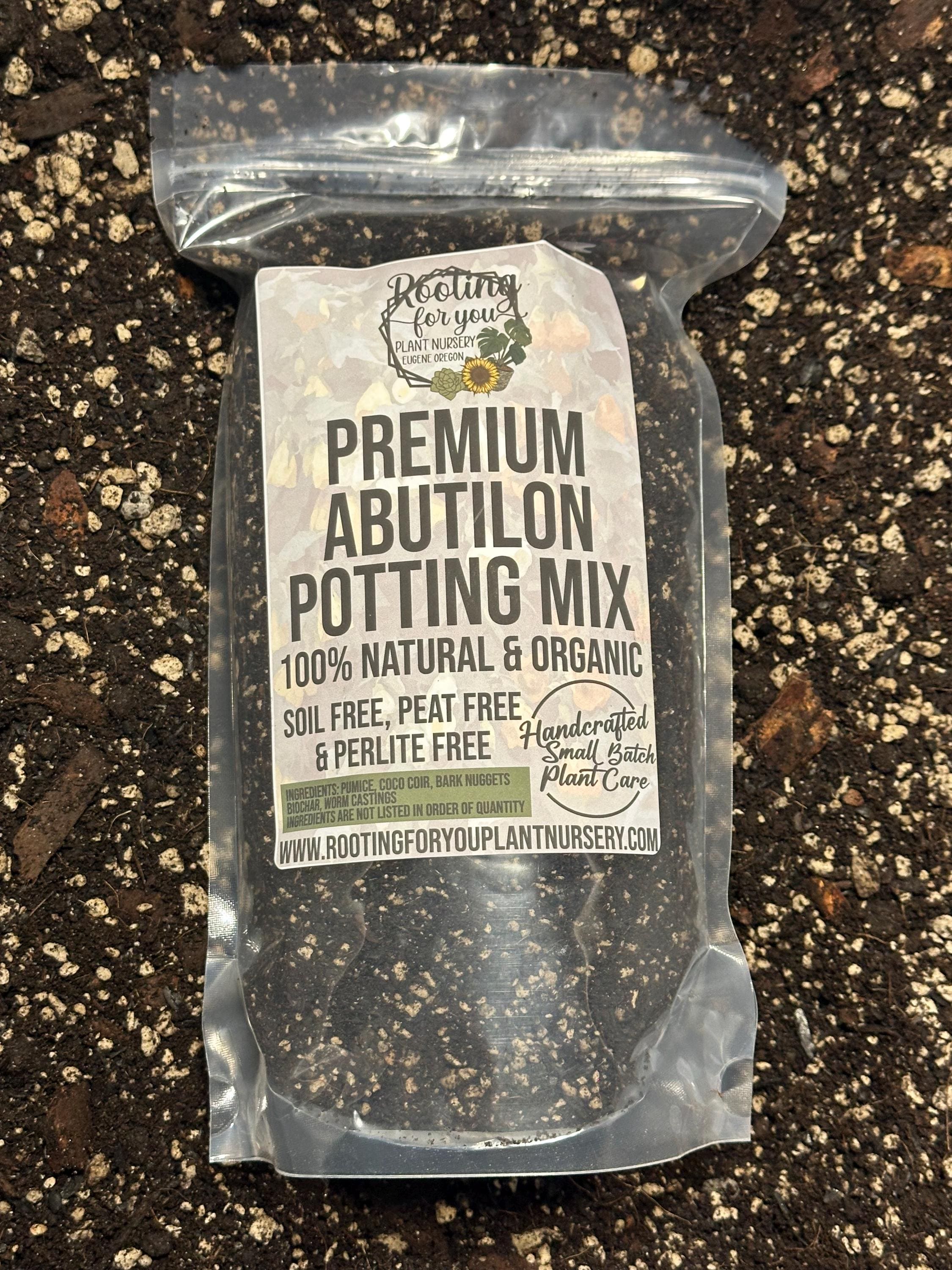 ABUTILON Premium Soil Less Potting Mix Oregon Licensed Nursery - - Etsy