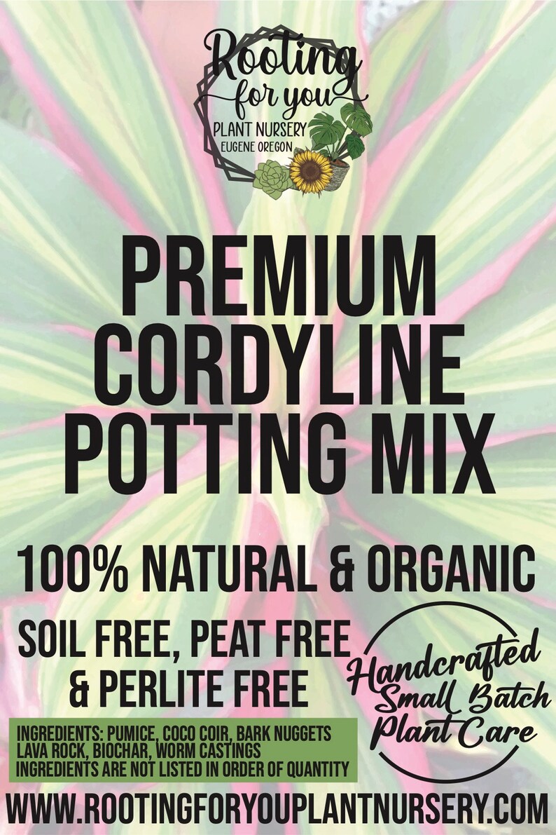 CORDYLINE Premium Soil Less Potting Mix Oregon Licensed Nursery - - Etsy