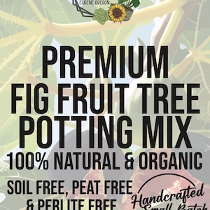 FIG FRUIT TREE Premium Soil Less Potting Mix Oregon Licensed Nursery ...