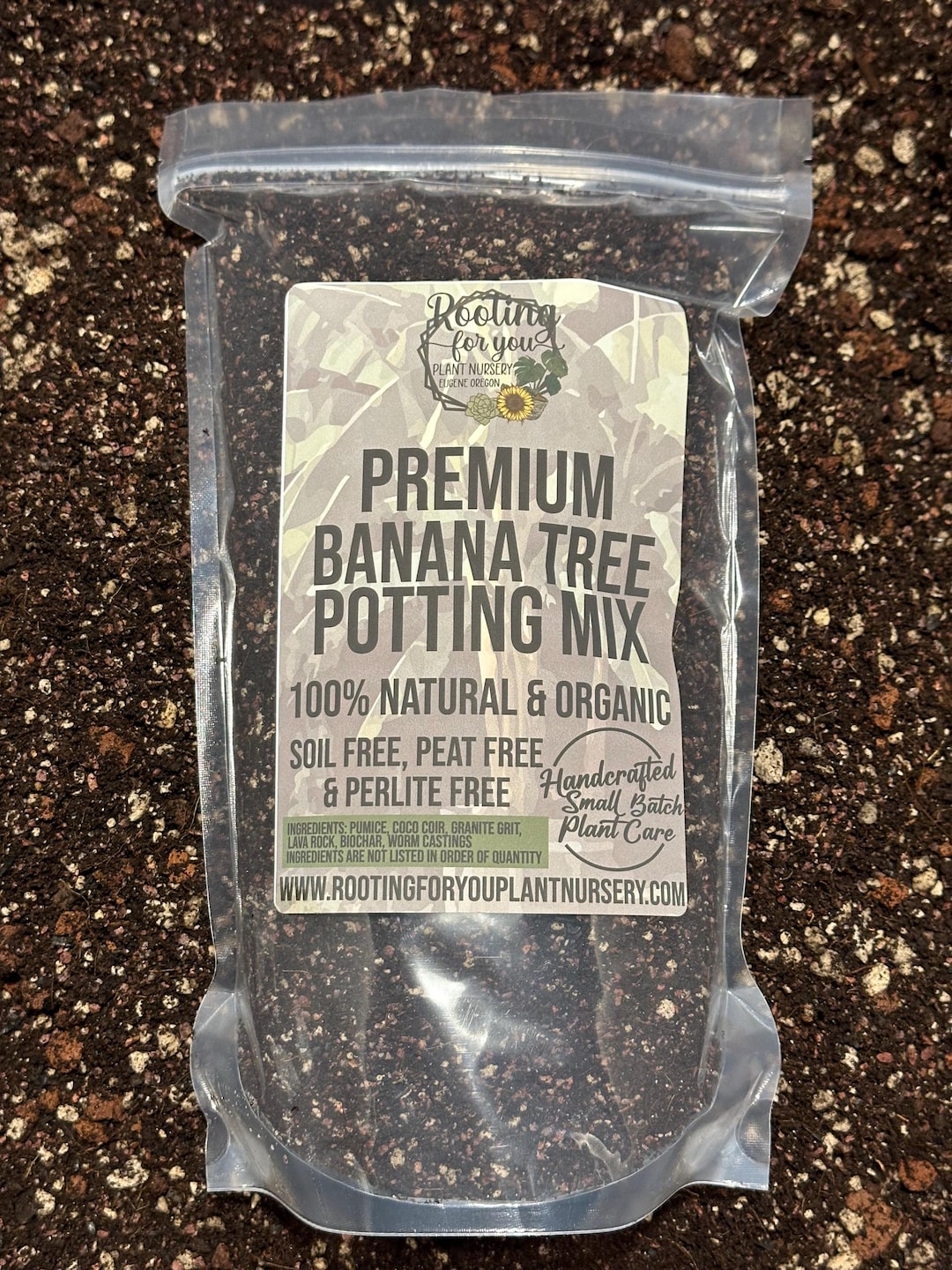 BANANA TREE Premium Soil Less Potting Mix Oregon Licensed Nursery - - Etsy