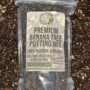 May include: A brown bag of premium banana tree potting mix. The bag is labeled "Rooting for you Plant Nursery Eugene, Oregon" and "100% Natural & Organic Soil Free, Peat Free & Perlite Free". The bag also says "Handcrafted Small Batch Plant Care" and "WWW.ROOTINGFORYOUPLANTNURSERY.COM".