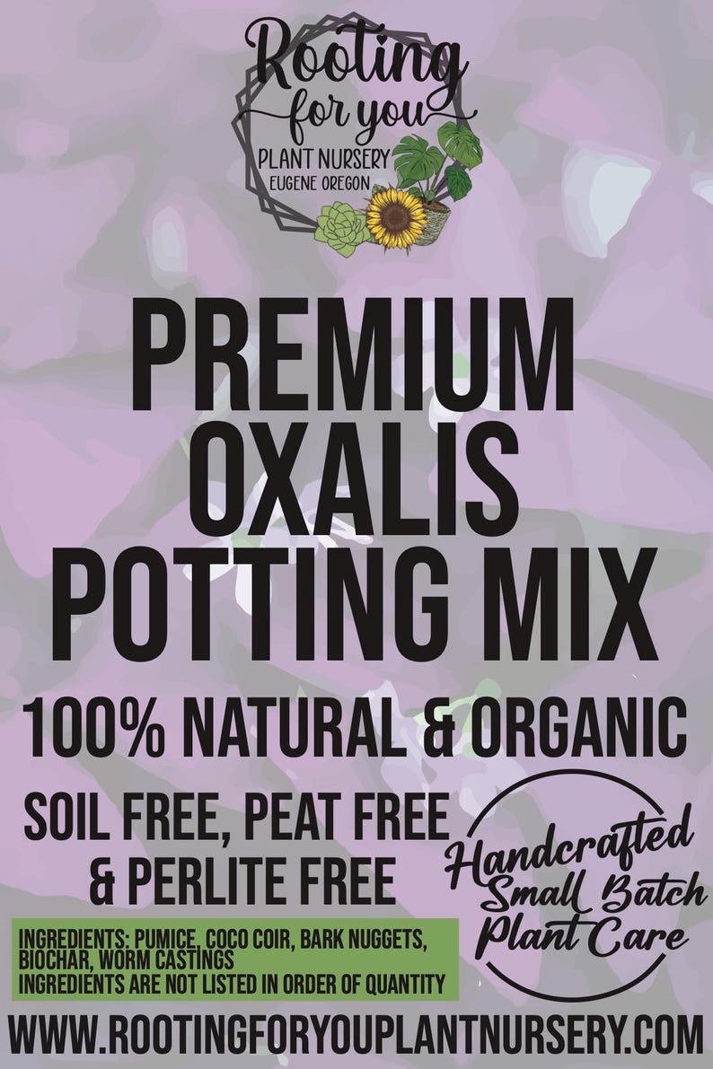 Oxalis Premium Soil Less Potting Mix Oregon Licensed Nursery - Etsy