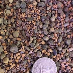 Mini Grit CACTUS & SUCCULENT Premium Soil Less Potting Mix Oregon ...