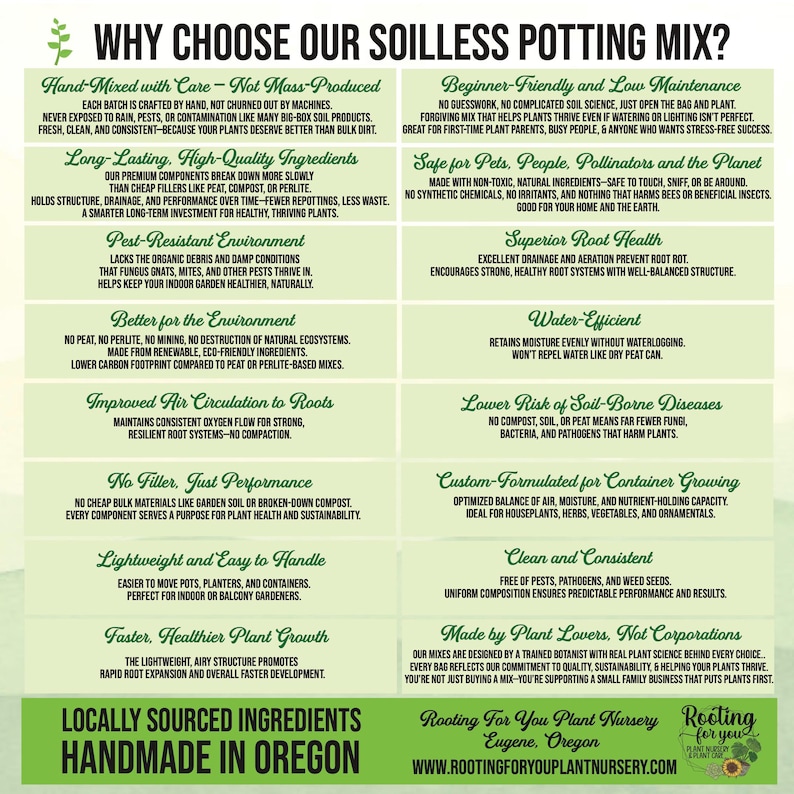 ZZ PLANT Premium Soil Less Potting Mix Oregon Licensed Nursery - - Etsy