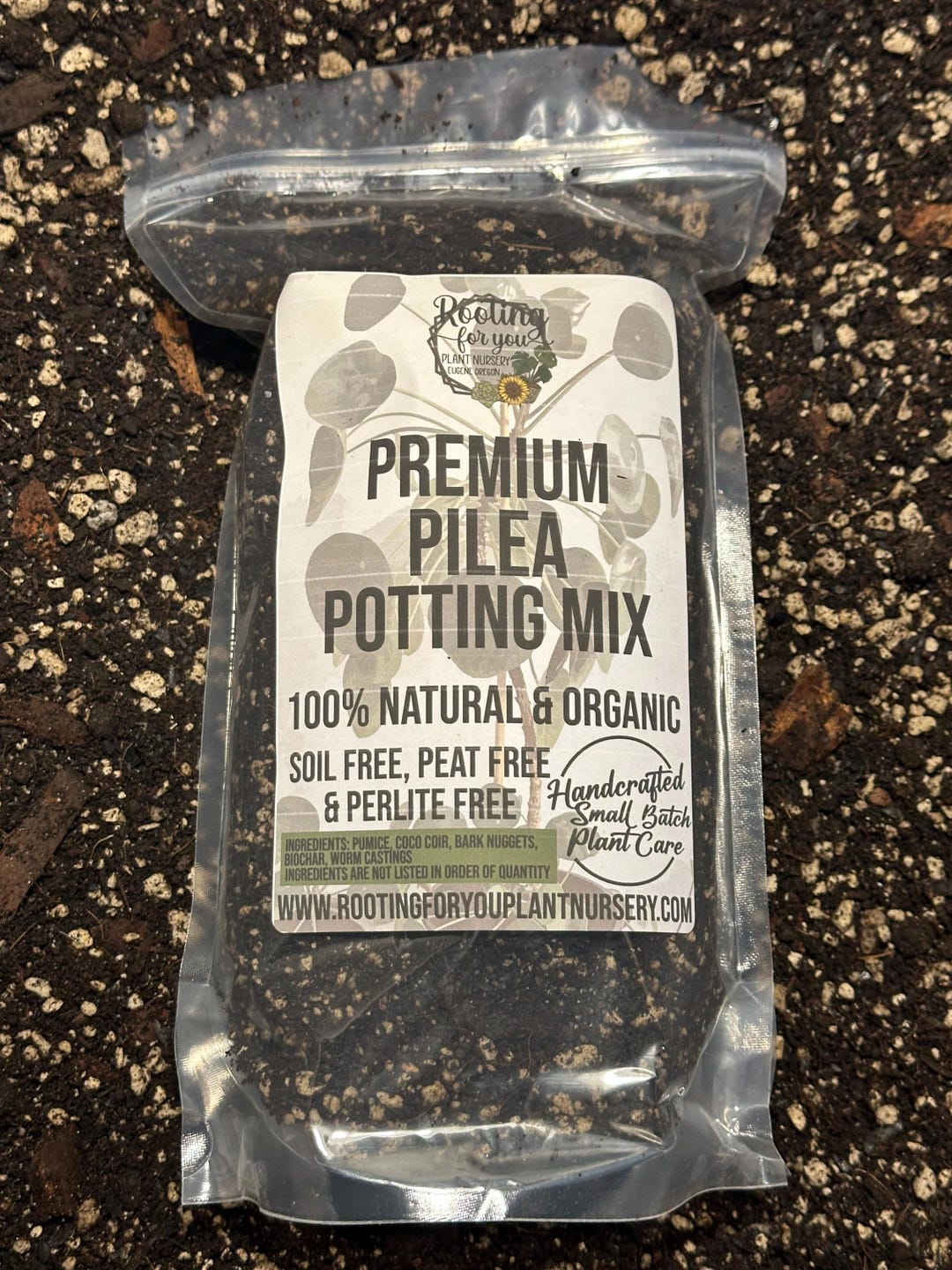 PILEA Premium Soil Less Potting Mix Oregon Licensed Nursery - - Etsy
