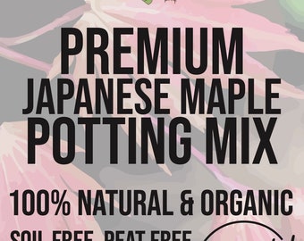 JAPANESE MAPLE Premium Soil Less Potting Mix Oregon Licensed Nursery - rootingforyouplantnursery.com