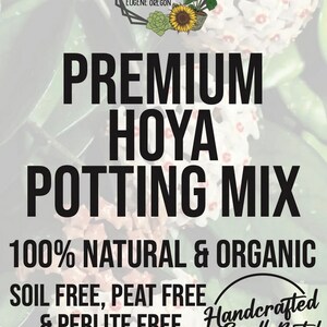 Hoya Premium Soil Less Potting Mix Oregon Licensed Nursery - - Etsy
