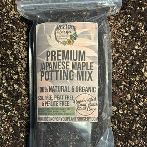 JAPANESE MAPLE Premium Soil Less Potting Mix Oregon Licensed Nursery - rootingforyouplantnursery.com