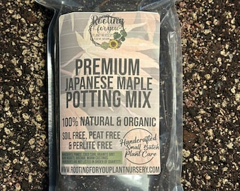 JAPANESE MAPLE Premium Soil Less Potting Mix Oregon Licensed Nursery - rootingforyouplantnursery.com
