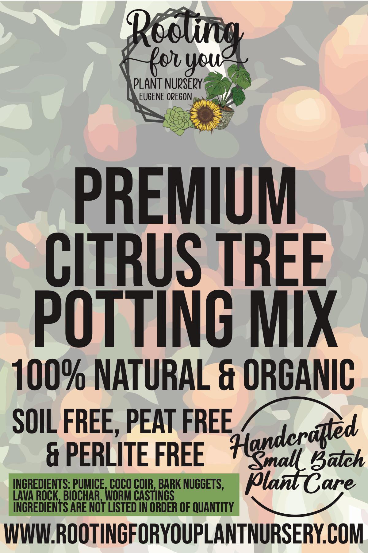 CITRUS TREE Premium Soil Less Potting Mix Oregon Licensed Nursery - - Etsy
