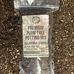 May include: A clear plastic bag filled with dark brown potting mix for plum trees. The bag has a white label with the text "Rooting for you Plant Nursery" and "Premium Plum Tree Potting Mix". The label also states that the mix is 100% natural and organic, soil free, peat free, and perlite free. It is handcrafted in small batches and states "Small Batch Plant Care".