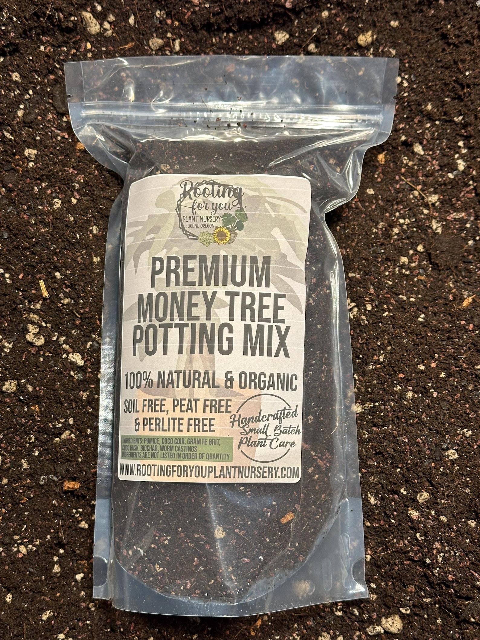 Money Tree Premium Soil Less Potting Mix Oregon Licensed Nursery - Etsy