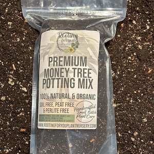 May include: A clear plastic bag filled with dark brown potting mix. The bag has a white label that reads "Rooting for you Plant Nursery" and "Premium Money Tree Potting Mix". The label also states that the mix is 100% natural and organic, soil free, peat free, and perlite free. It is handcrafted in small batches.