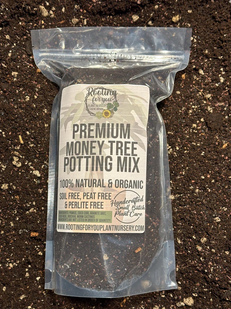 Money Tree Premium Soil Less Potting Mix Oregon Licensed Nursery - Etsy