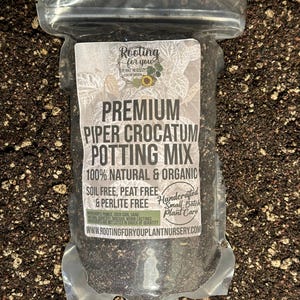 May include: A clear plastic bag filled with a dark brown potting mix. The bag has a white label with the text "Rooting for you Plant Nursery" and "Premium Piper Crocatum Potting Mix 100% Natural & Organic Soil Free, Peat Free & Perlite Free Handcrafted Small Batch Plant Care WWW.ROOTINGFORYOUPLANTNURSERY.COM".