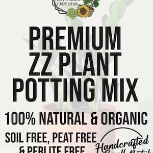 ZZ PLANT Premium Soil Less Potting Mix Oregon Licensed Nursery - - Etsy