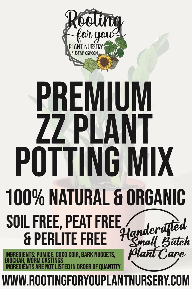 ZZ PLANT Premium Soil Less Potting Mix Oregon Licensed Nursery