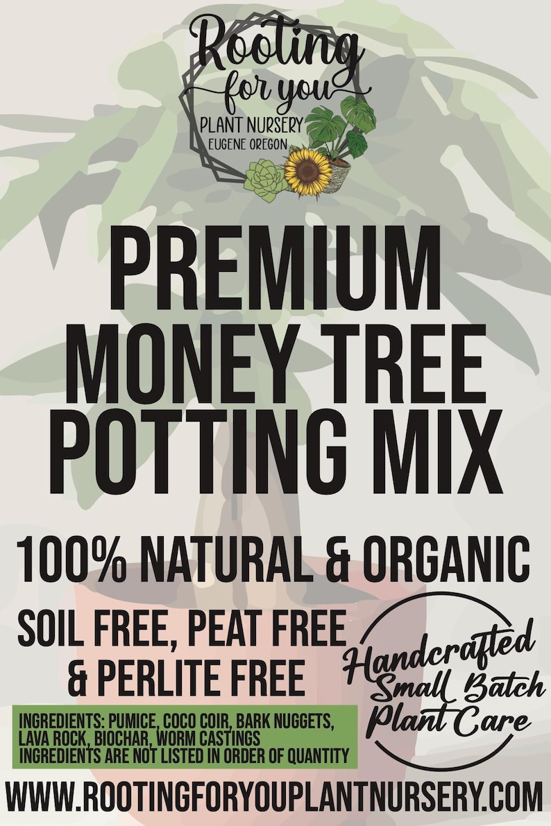 Money Tree Premium Soil Less Potting Mix Oregon Licensed Nursery - Etsy