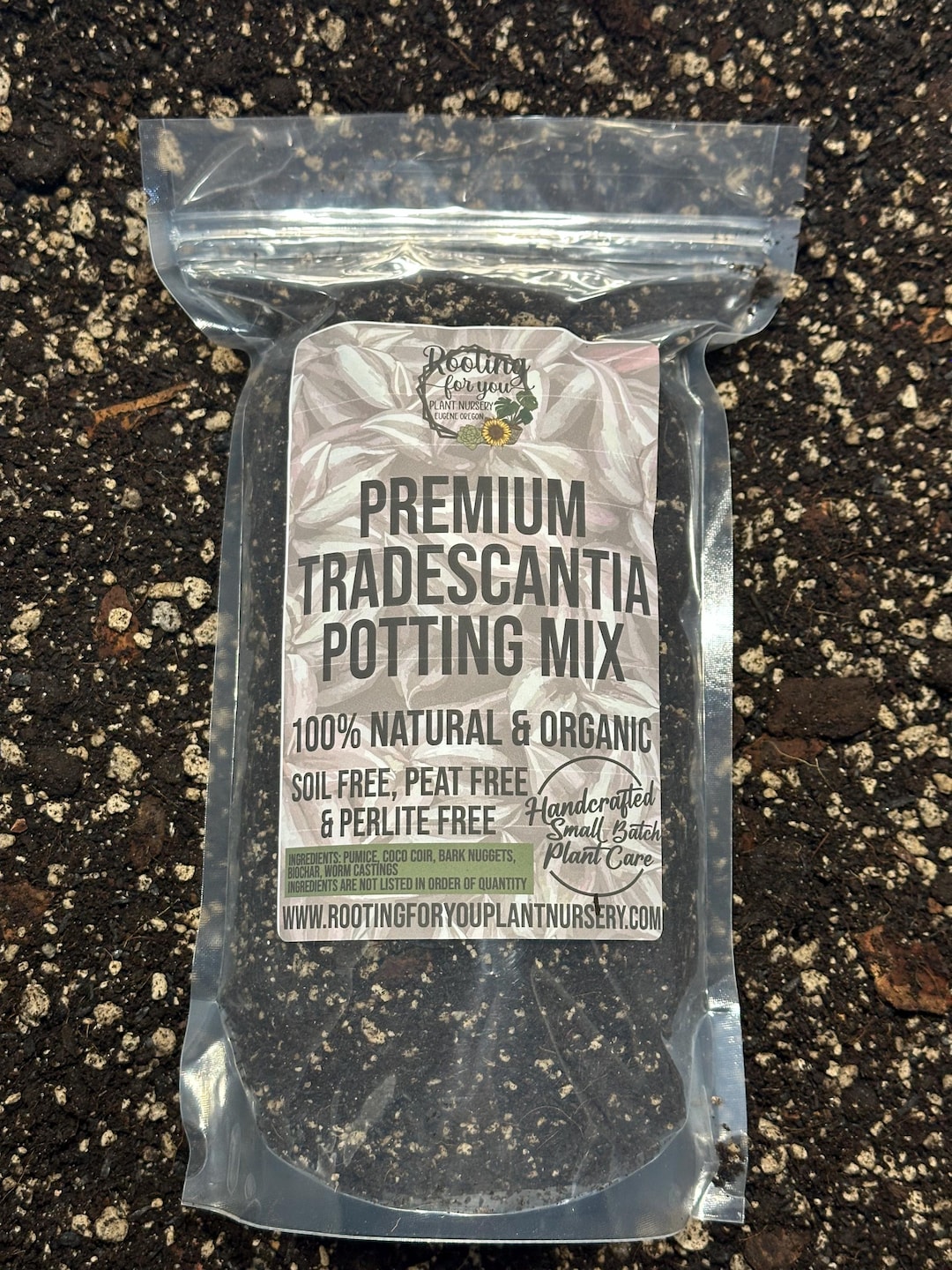 TRADESCANTIA Premium Soil Less Potting Mix Oregon Licensed Nursery - - Etsy